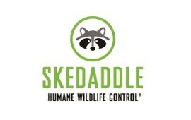 Skedaddle Humane Wildlife Control Franchise