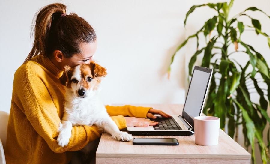 Capitalize on This Growing Trend with a Franchise In...