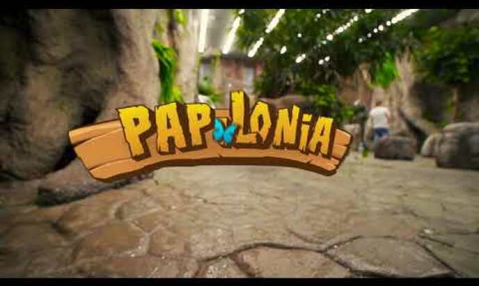 What Makes Papilonia Special?