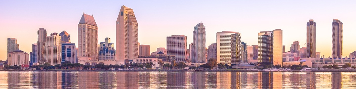 San Diego Skyline Banner