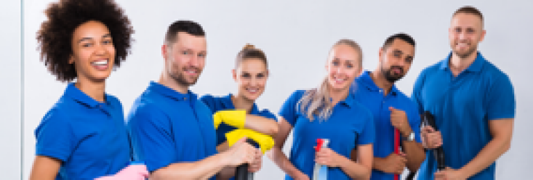Kingsmaid Cleaning Franchise