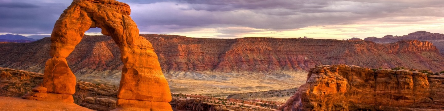 Franchises in Utah