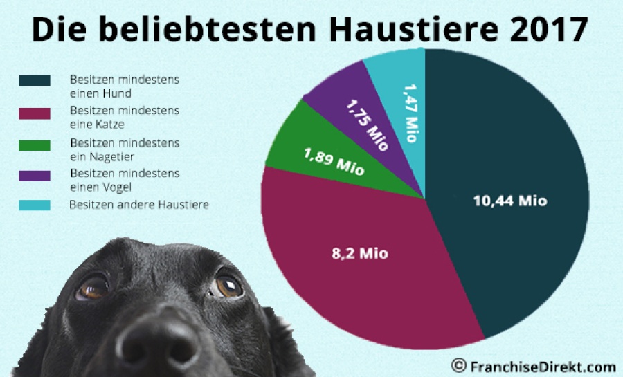 Erfolg mit Franchising im Tier- und Zoobedarf | FranchiseDirekt.com