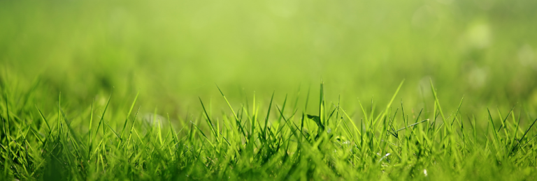 Profile header image