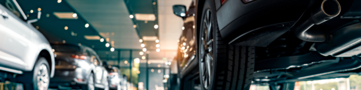 Automotive Franchises
