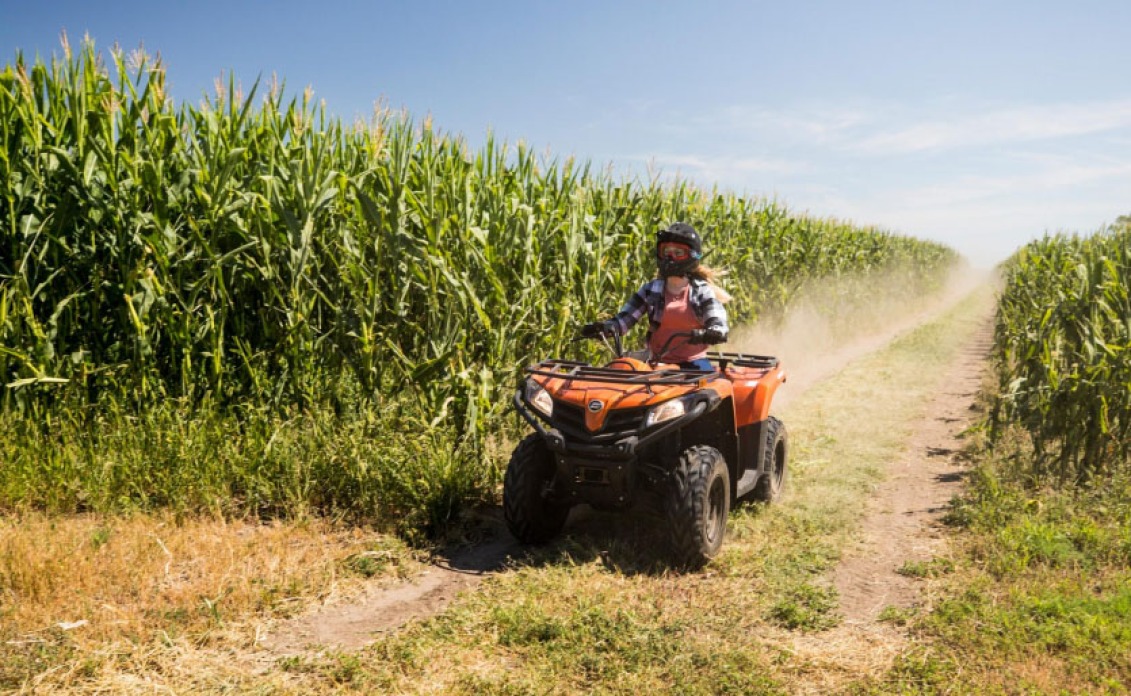 QOOAD Franchise Bild 2