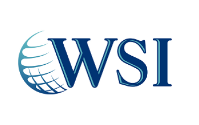 WSI Logo Franchise