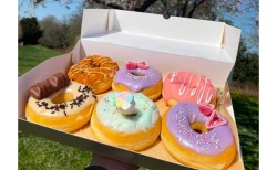 boite donuts franchise Dreams Donuts