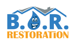 BOR Restoration Franchise