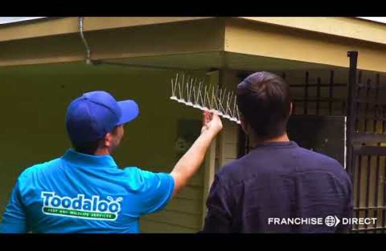 Toodaloo Pest and Wildlife Control Franchise Video