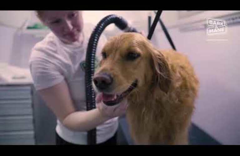 Bark & Mane Sam & Lora Gandy Testimonial