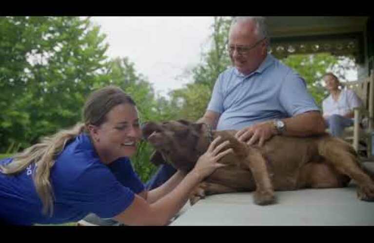 Zoomin Groomin Brand Overview