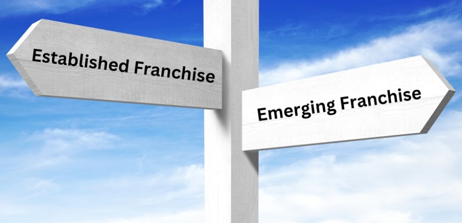 White wooden signpost / crossroads sign with two arrows. Arrow pointing left reads "Established Franchise." Arrow pointing right reads "Emerging Franchise."