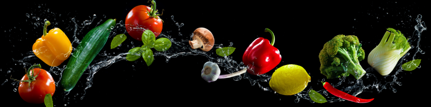 Franchise Gastronomie und Bringdienste