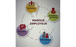 image réseau Human Partners