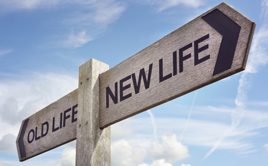 Wooden sign post with "Old Life" and "New Life" on opposite facing arrows.