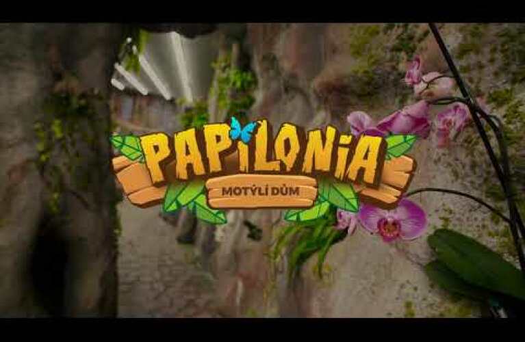 Inside the Papilonia House and Its Butterflies