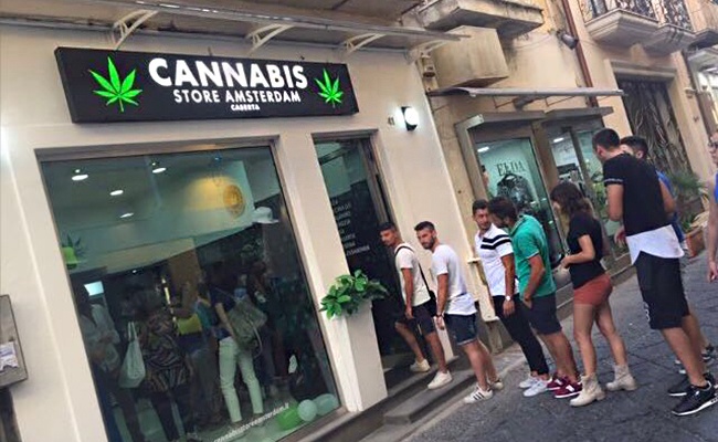 Cannabis Store Amsterdam Franchise Gallery