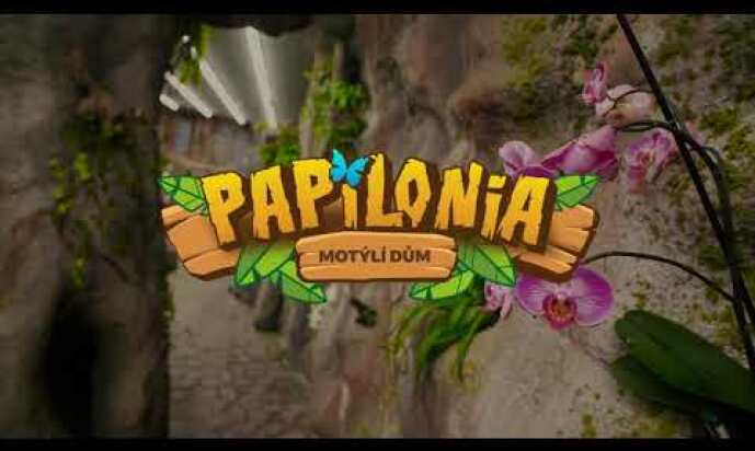 The Papilonia House - Butterflies