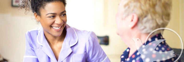 Visiting Angels Living Assistance Services Franchise