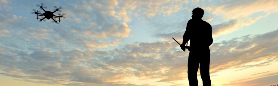 Emerging Franchise Area: Drones