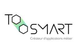 logo TooSmart - consultants