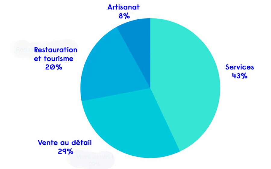 graphique secteurs activités franchise Allemagne 2019