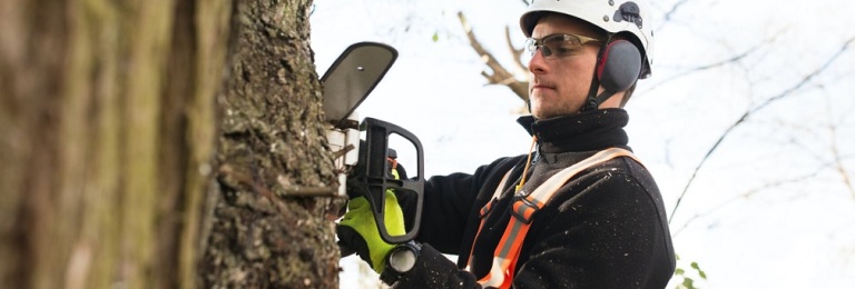Monster Tree Service Franchise