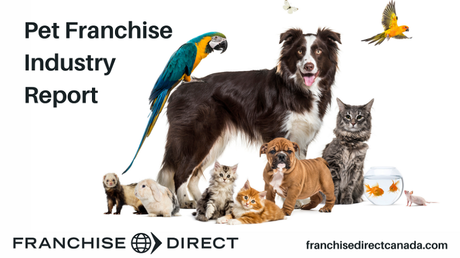A group of pets posing around a border collie. Other pets include a dog, cat, ferret, rabbit, bird, fish, and rodent. Words at the top left say: Pet Franchise Industry Report.