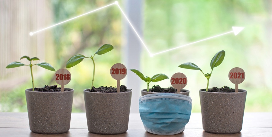 Franchise Recovery 2021 plants