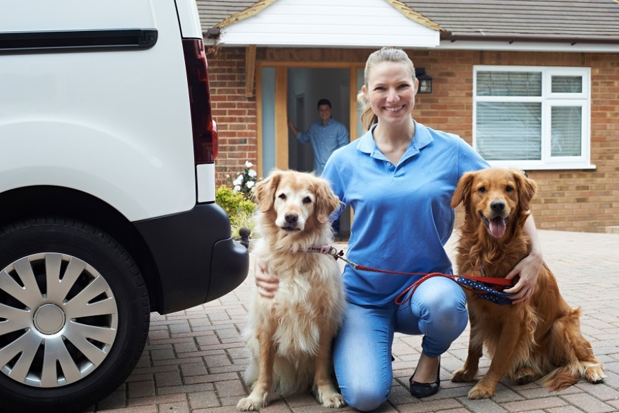 A Growing Industry: Pet-Related Franchises