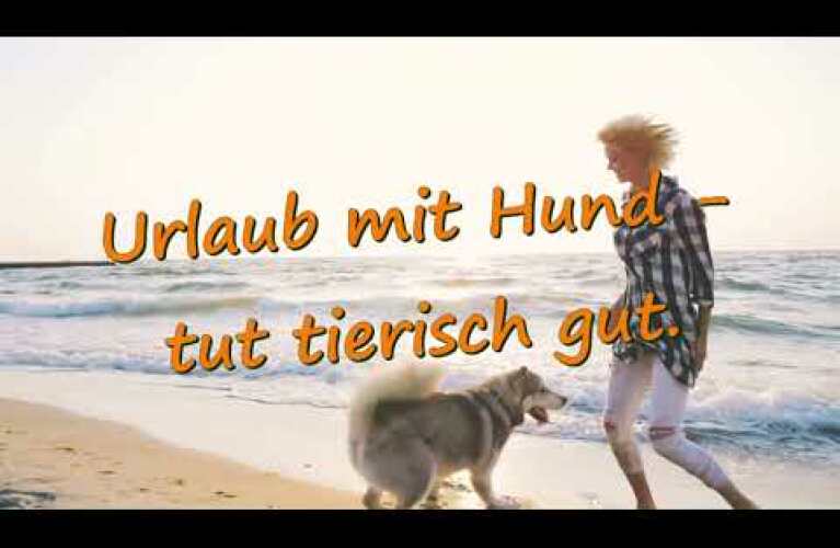 Waumobil Imagefilm 2022 – Urlaub mit Hund im Wohnmobil