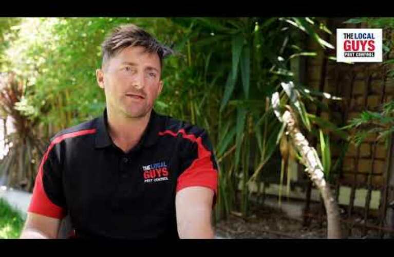 The Local Guys Pest Control - Interview