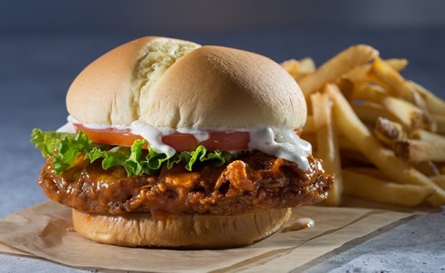 Wayback Burgers Image