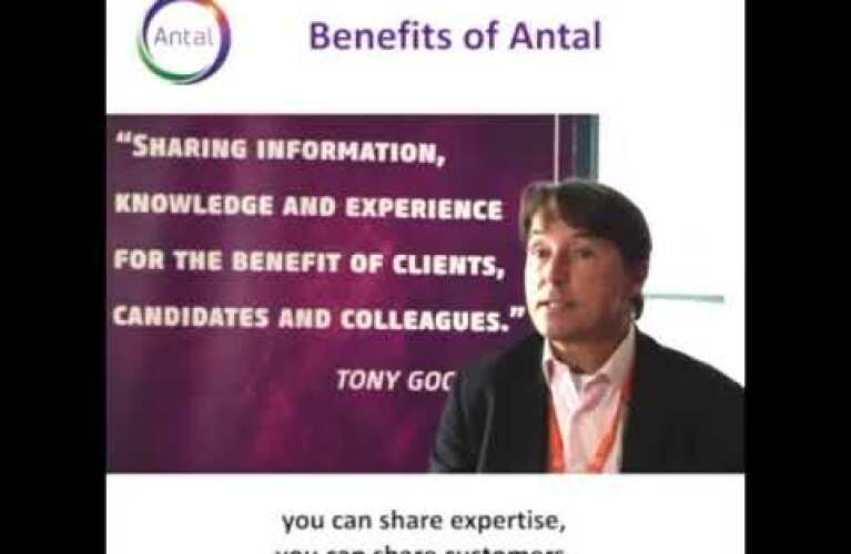 What are the benefits of working with Antal?