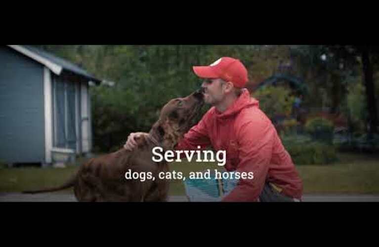Husse Corporate Video