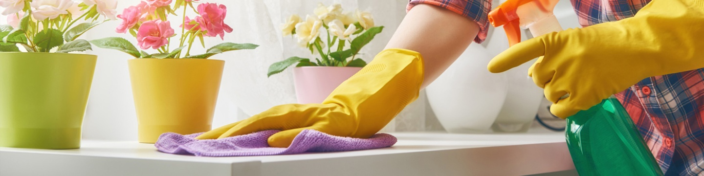 Cleaning Franchises