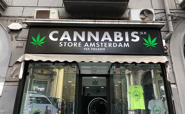 Cannabis Store Amsterdam Franchise Gallery