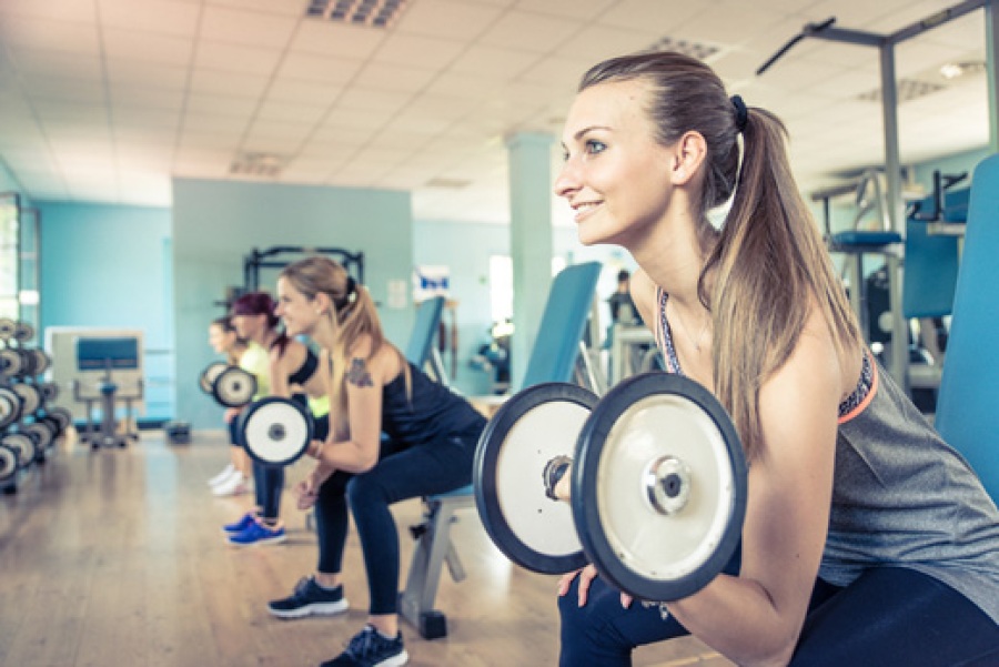 Franchise-Marktstudie Fitnees 2016-1