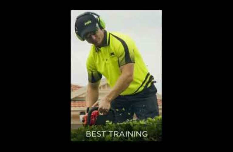 Fox Mowing Your New Career Starts Here