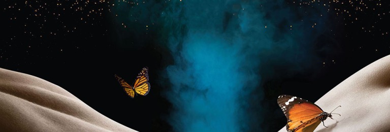 Bodyteria Banner