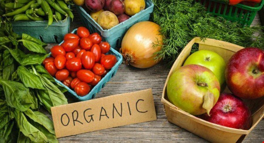 Organicfood_large.jpg