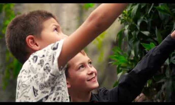 Papilonia Butterfly House