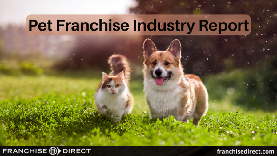 Cat and Corgi dog walking on grass. The words "Pet Franchise Industry Report" are at the top of the image.