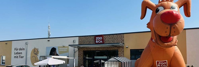 Zoo & Co. Franchise Banner
