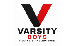 VB logo.png