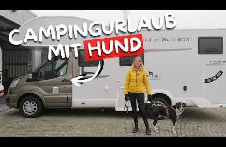 Camping-Urlaub mit Hund 🐶 Umbau und Vermietung hundgerechter Wohnmobile ➡️ Waumobil