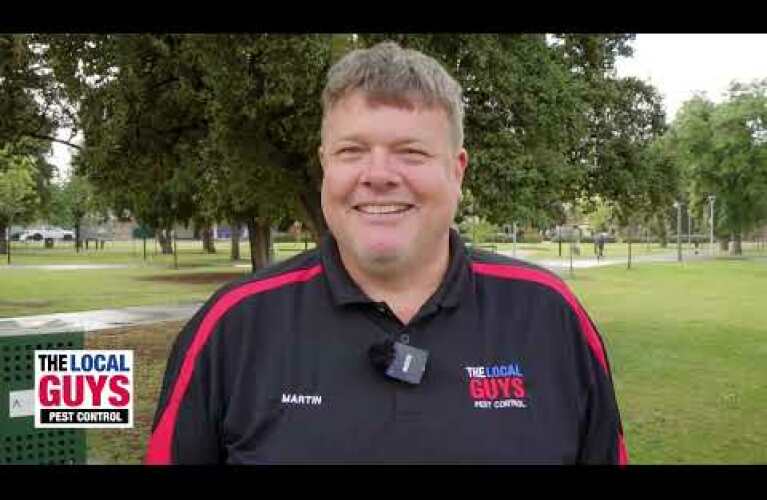 The Local Guys Pest Control | Alexandra Hills Territory