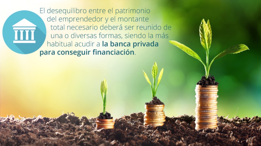 Financiando tu Franquicia 2017-1