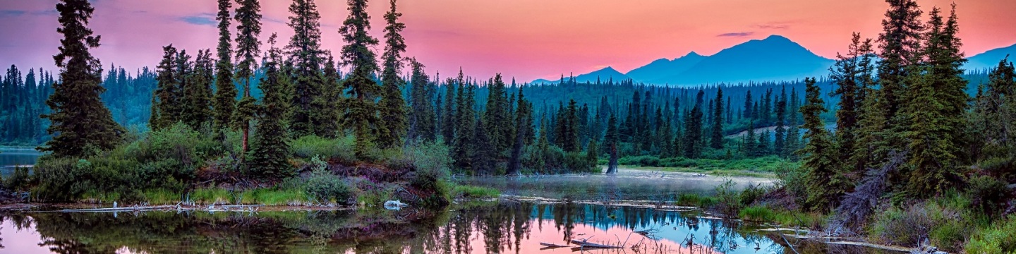 Franchises in Alaska